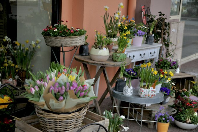 Un air de printemps photo 10